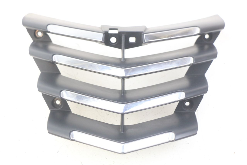 photo de RADIATEURROOSTER PEUGEOT CITYSTAR 125 (2011 - 2017) - Hoofdaanzicht