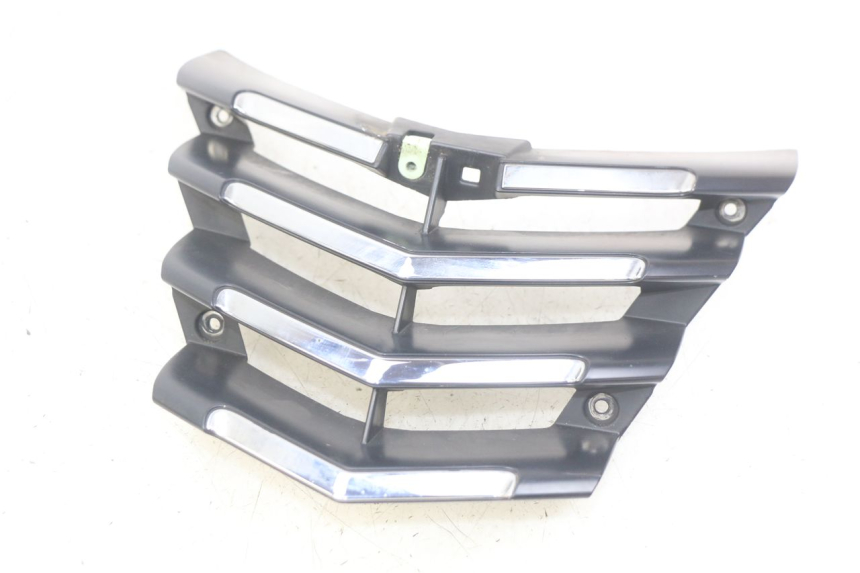 photo de RADIATEURROOSTER PEUGEOT CITYSTAR 125 (2011 - 2017) - Hoofdaanzicht