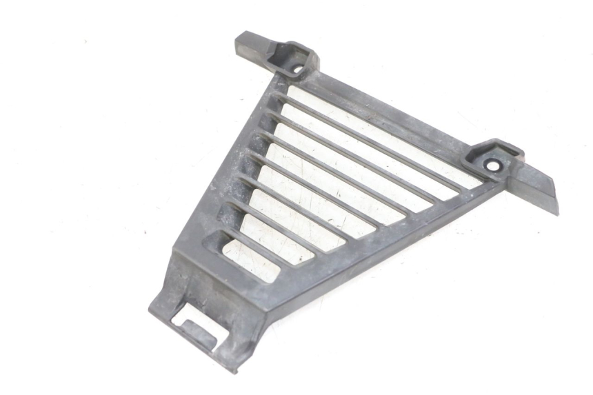 photo de RADIATEURROOSTER BMW G310 R 310 (2016 - 2020) - Hoofdaanzicht