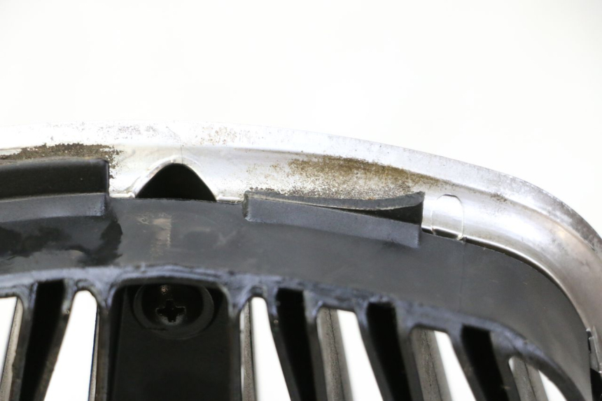 photo de RADIATEURROOSTER PIAGGIO MP3 LT 300 (2010 - 2016) - Zoom op gebruiksstaat