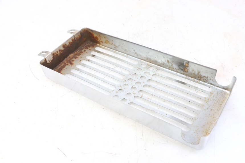 photo de RADIATEURROOSTER REGAL RAPTOR RAXTER 2 125 (2007 - 2015) - Detail van het onderdeel