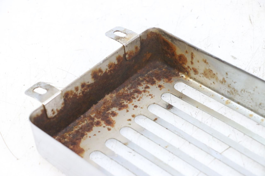 photo de RADIATEURROOSTER REGAL RAPTOR RAXTER 2 125 (2007 - 2015) - Andere kijkhoek