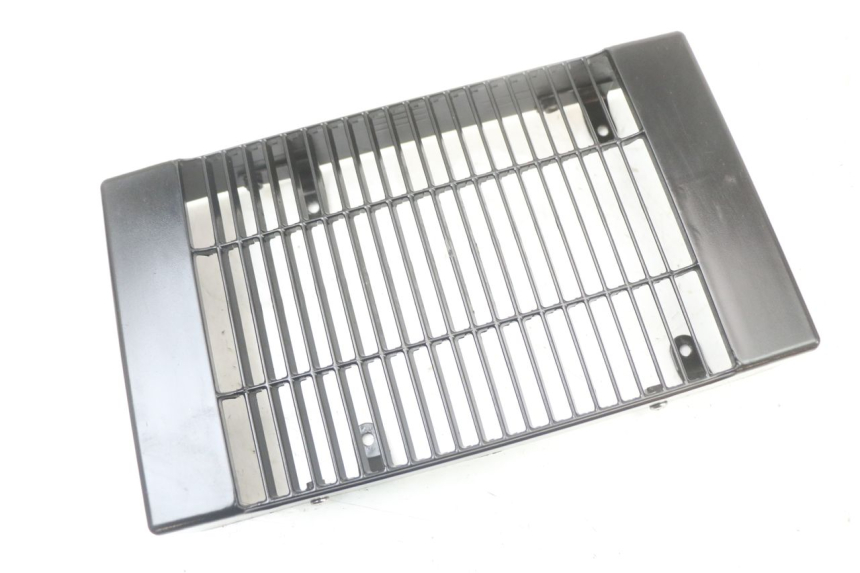 photo de RADIATEURROOSTER REGAL RAPTOR SPYDER 125 (2010 - 2018) - Zoom op gebruiksstaat