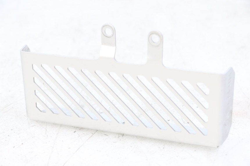 photo de RADIATEURROOSTER ROYAL ENFIELD HYMALAYAN 410 (2016 - 2023) - Hoofdaanzicht