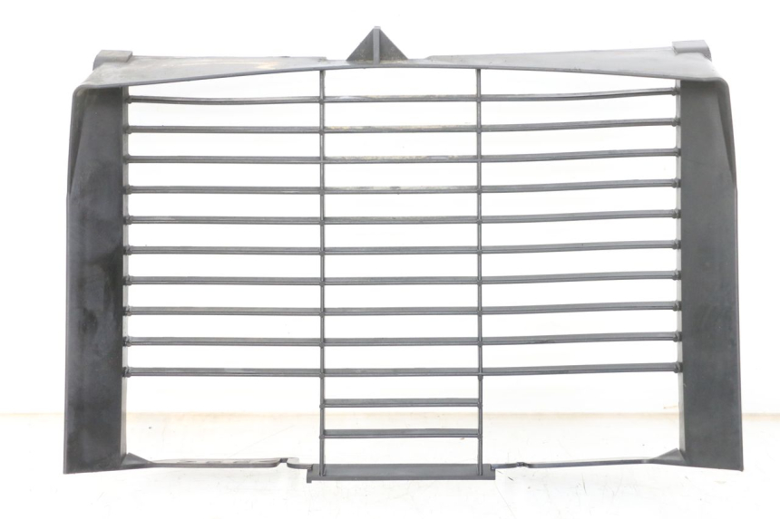 photo de RADIATEURROOSTER YAMAHA XJ6 ABS 600 (2008 - 2016) - Hoofdaanzicht