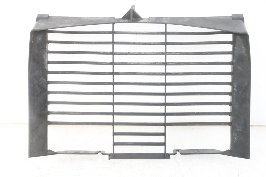 photo de RADIATEURROOSTER YAMAHA XJ6 ABS 600 (2008 - 2016) - Hoofdaanzicht