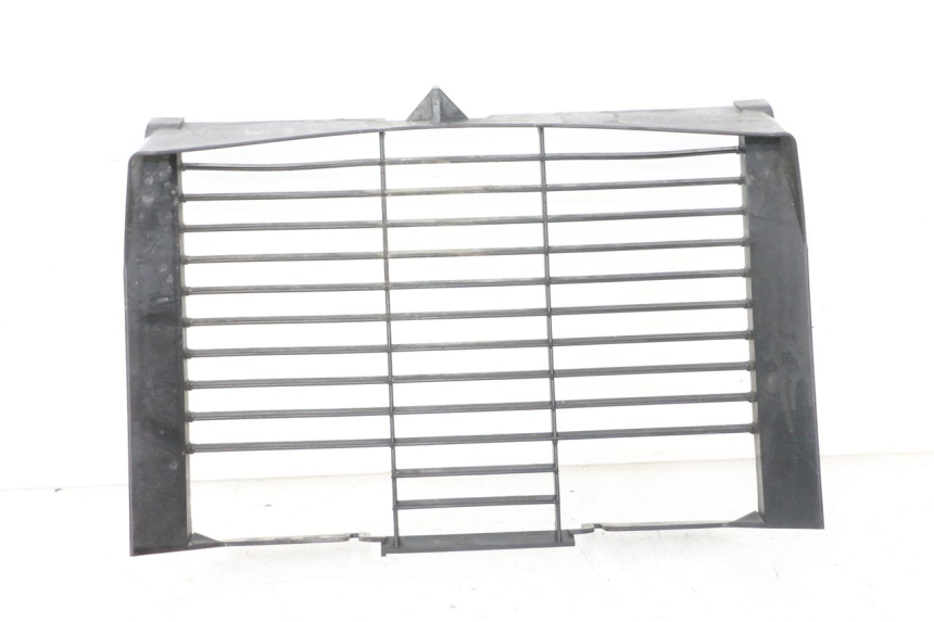 photo de RADIATEURROOSTER YAMAHA XJ6 ABS 600 (2008 - 2016) - Hoofdaanzicht