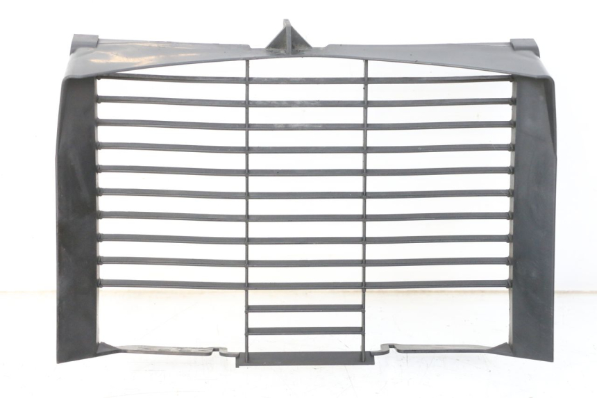 photo de RADIATEURROOSTER YAMAHA XJ6 600 (2008 - 2016) - Hoofdaanzicht