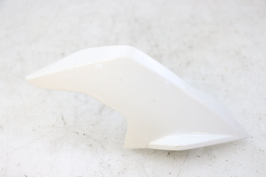 photo de BINNENKANT RECHTE VORKKOP BMW G310 R 310 (2016 - 2020) - Hoofdaanzicht