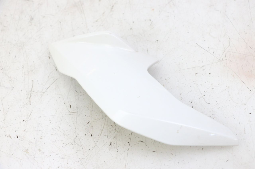 photo de BINNENKANT RECHTE VORKKOP BMW G310 R 310 (2016 - 2020) - Overzicht