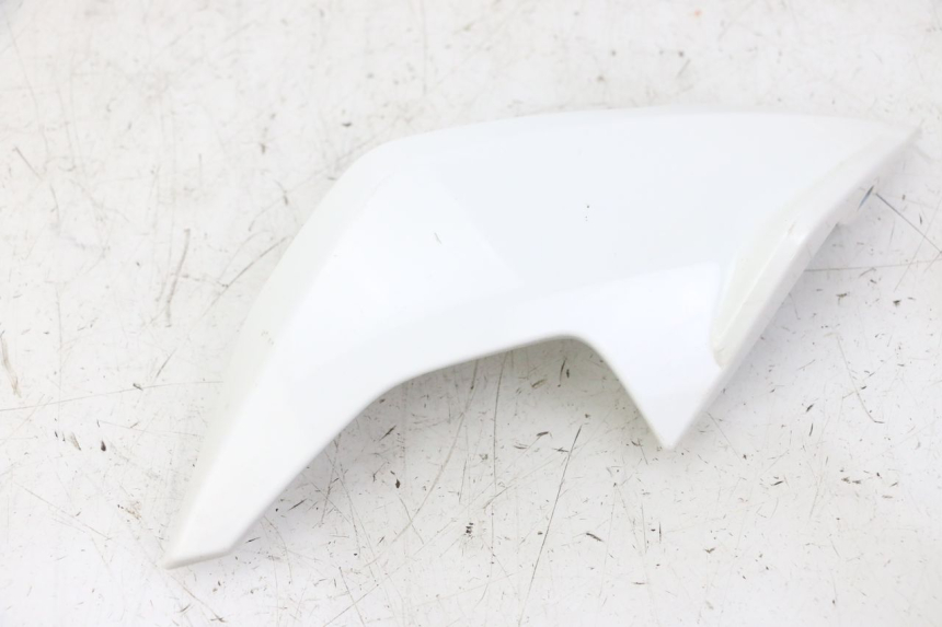 photo de BINNENKANT RECHTE VORKKOP BMW G310 R 310 (2016 - 2020) - Bevestigingspunten