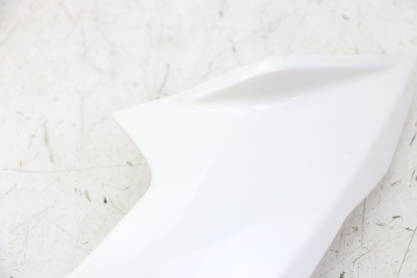 photo de BINNENKANT KOP VORK LINKS BMW G310 R 310 (2016 - 2020) - Technische close-up