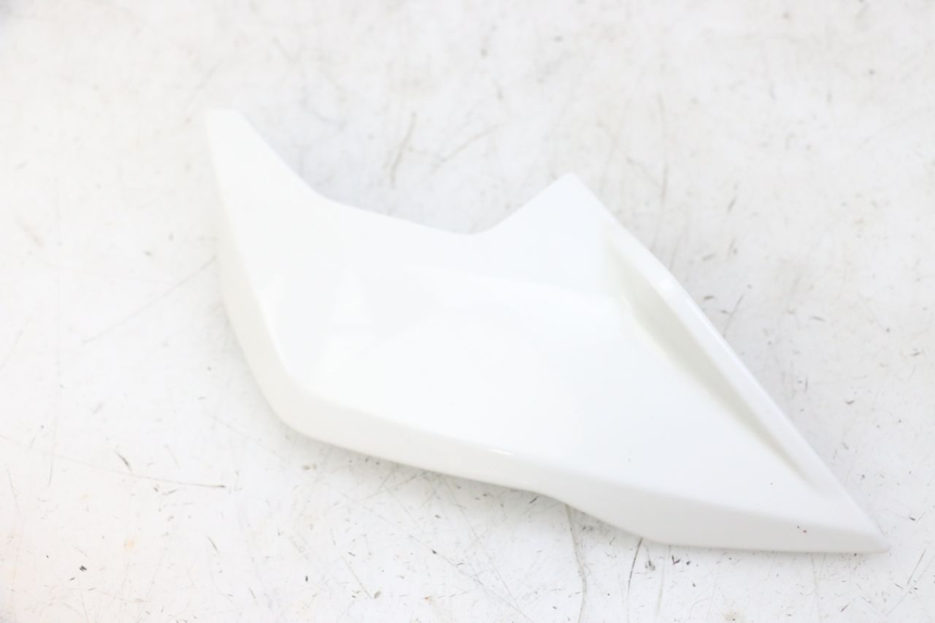 photo de BINNENKANT KOP VORK LINKS BMW G310 R 310 (2016 - 2020) - Bevestigingspunten