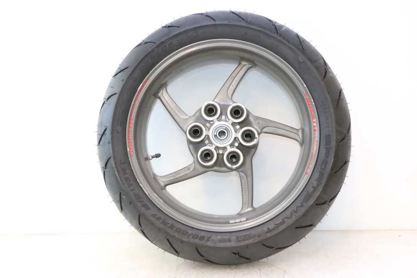 photo de ACHTERVELG EN BAND DUCATI SS IE DS CARENEE 1000 (2002 - 2006) - Profielaanzicht