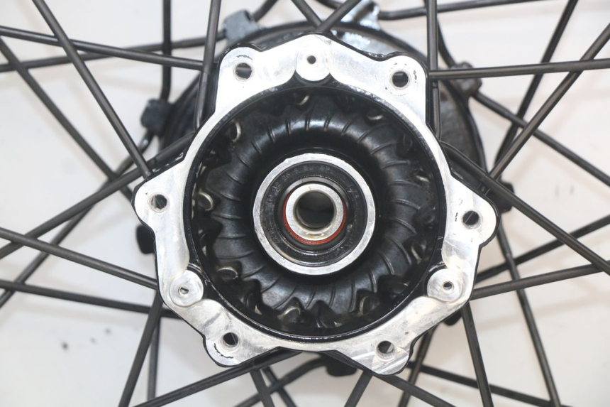 photo de ACHTERVELG HUSQVARNA SVARTPILEN 401 (2018 - 2023) - Overzicht