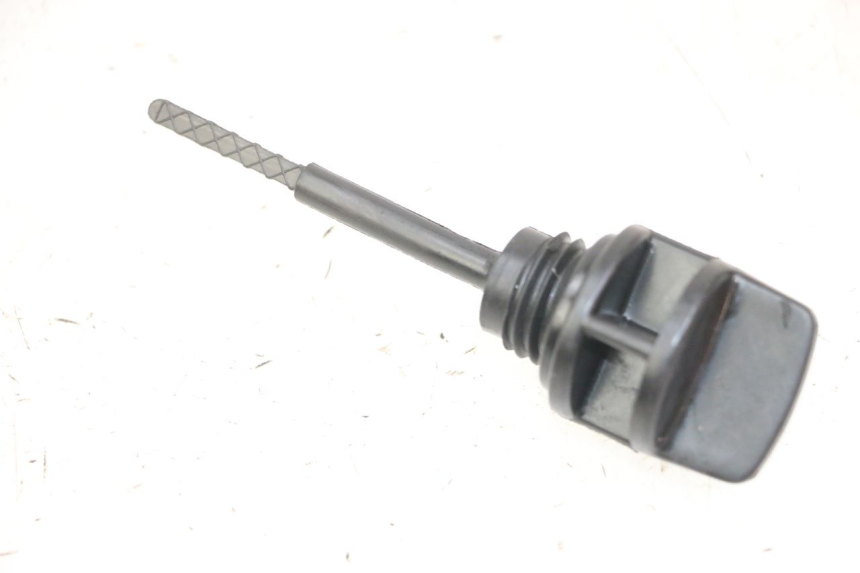 photo de MOTOROLIEPEILSTOK DAELIM BESBI 125 (2007 - 2008) - Detail van het onderdeel