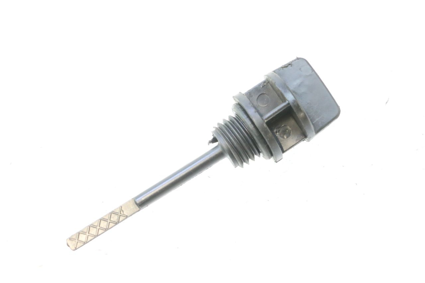 photo de MOTOROLIEPEILSTOK JM MOTORS F45i 4T 50 (2020 - 2023) - Hoofdaanzicht