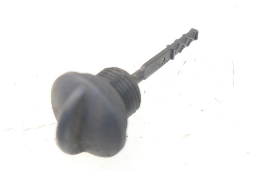 photo de MOTOROLIEPEILSTOK PIAGGIO LIBERTY IGET 4T 50 (2015 - 2020) - Hoofdaanzicht