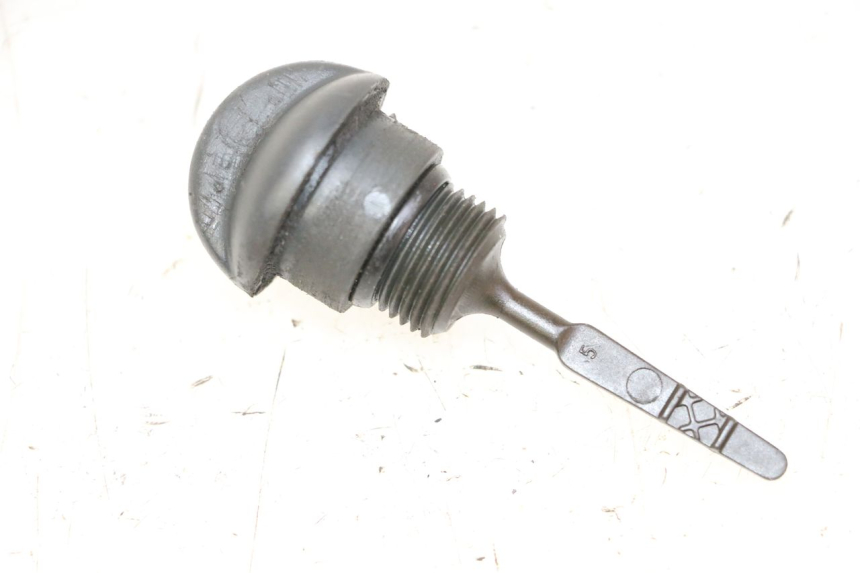 photo de MOTOROLIEPEILSTOK PIAGGIO MP3 RL 250 (2006 - 2010) - Hoofdaanzicht