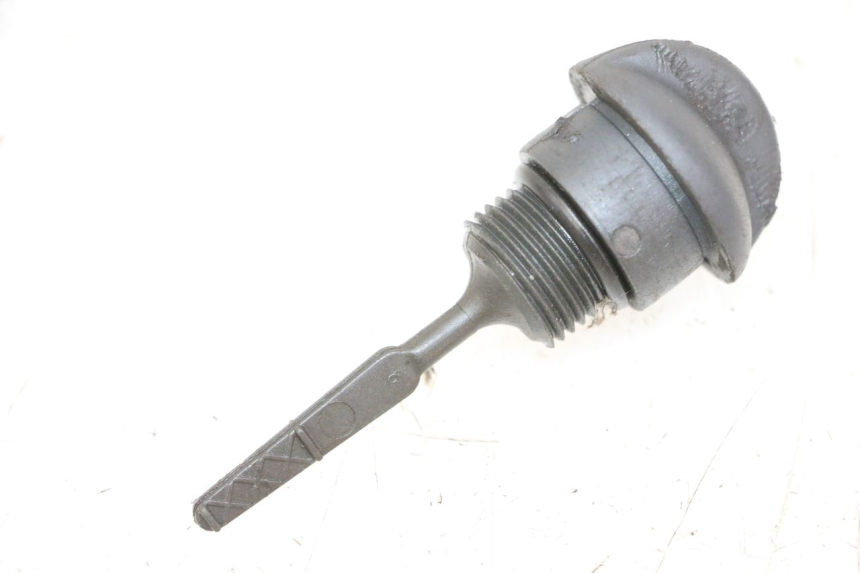 photo de MOTOROLIEPEILSTOK PIAGGIO XEVO - X EVO 125 (2007 - 2017) - Hoofdaanzicht