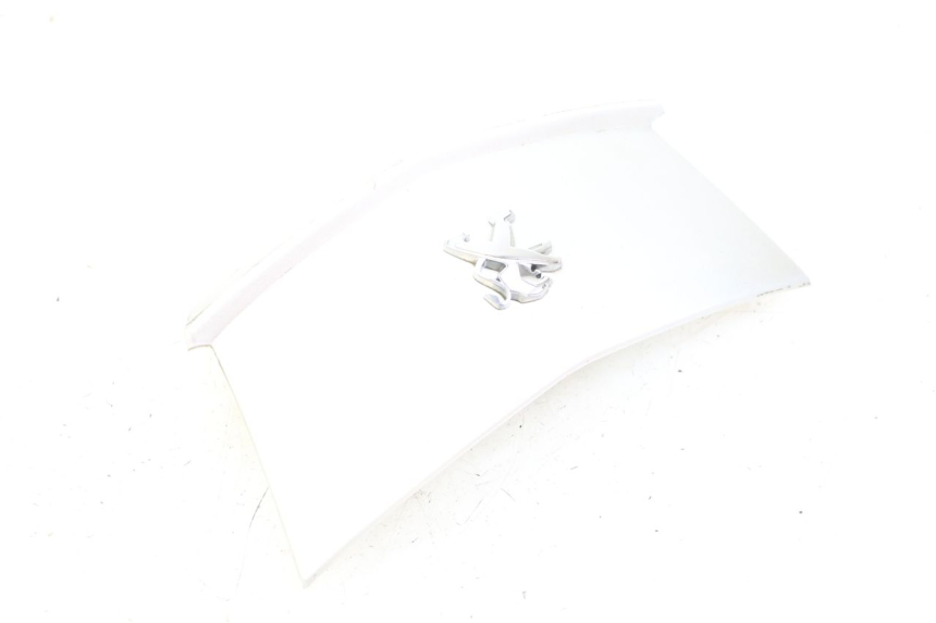 photo de ACHTERKAP VERBINDING PEUGEOT CITYSTAR 125 (2011 - 2017) - Staat van het oppervlak