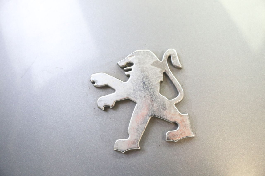 photo de ACHTERKAP VERBINDING PEUGEOT SATELIS 250 (2006 - 2012) - Technische close-up