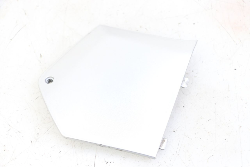 photo de RECHTER VOETSTEUNVERBINDING PIAGGIO MP3 LT 300 (2010 - 2016) - Hoofdaanzicht