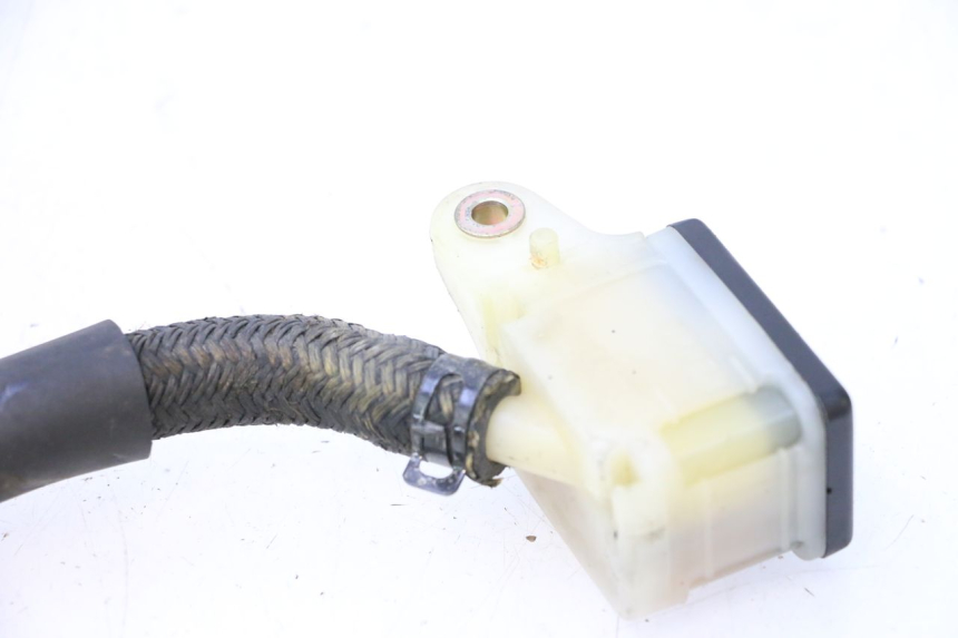 photo de ACHTERREM HOOFDREMMEESTER HONDA XRV AFRICA TWIN 750 (1990 - 1992) - Overzicht