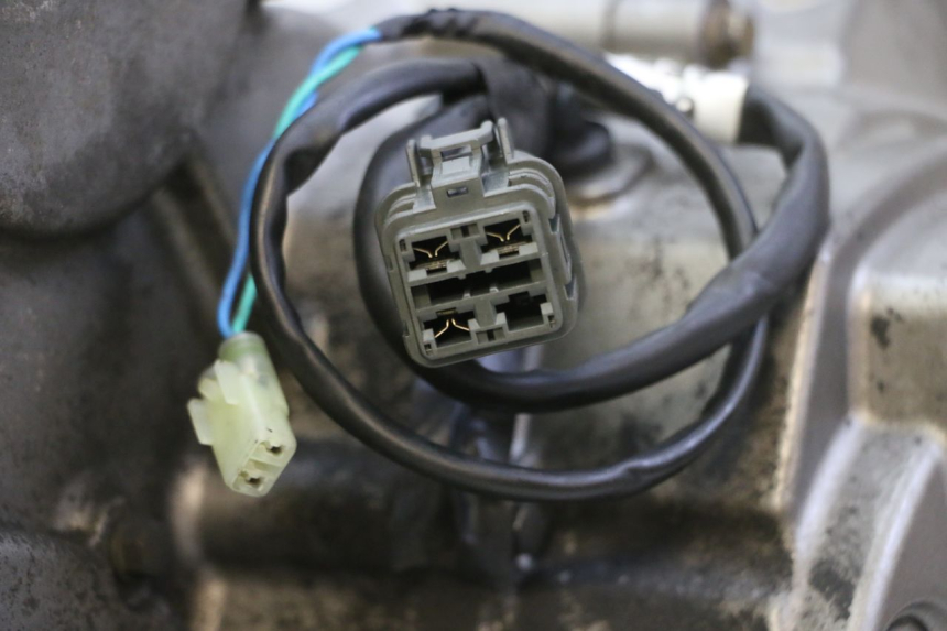 photo de MOTOR QUADRO 4 4D 350 (2015 - 2018) - Overzicht