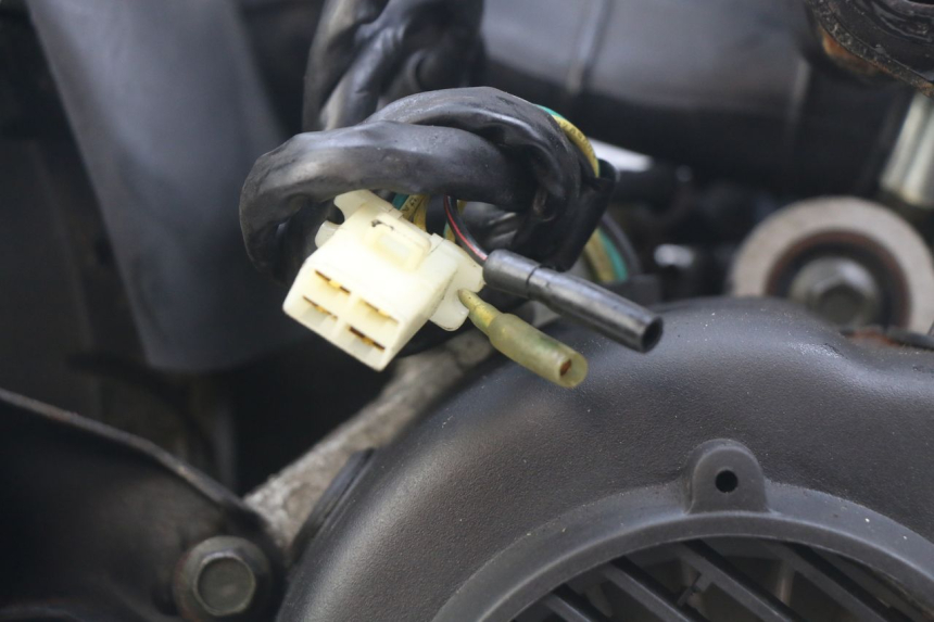 photo de MOTOR WILDLANDER BISCUIT 125 (2004 - 2010) - Kenmerkende details