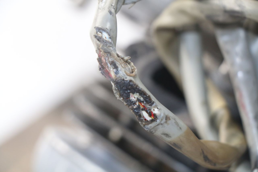 photo de MOTOR YAMAHA BW'S 50 (2004 - 2017) - Detail van het onderdeel