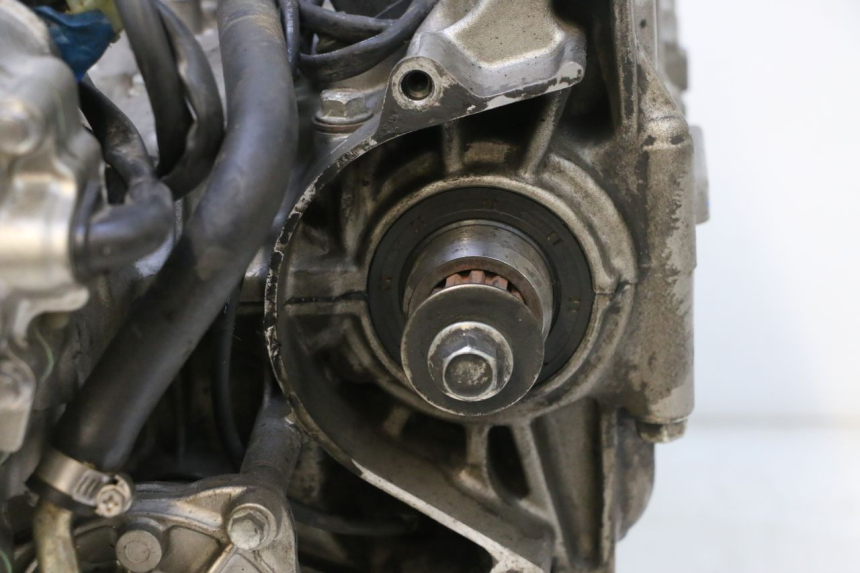photo de MOTOR HONDA CB F HORNET 600 (2005 - 2006) - Detailaanzicht
