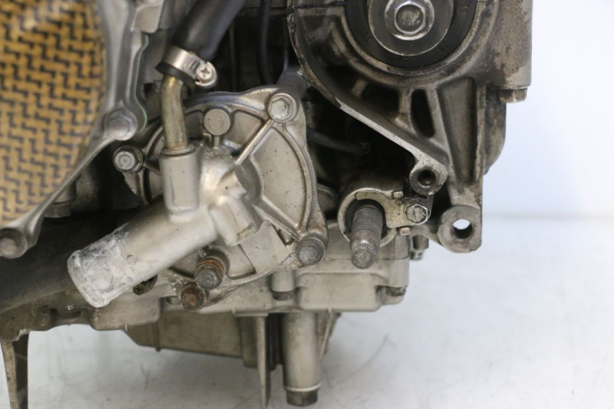 photo de MOTOR HONDA CB F HORNET 600 (2005 - 2006) - Aanvullende foto