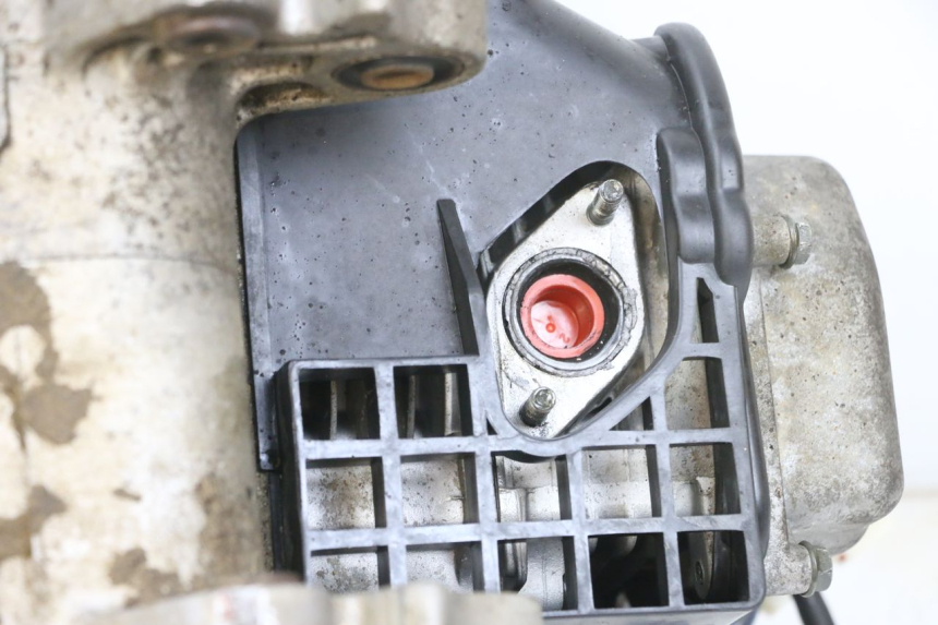 photo de MOTOR LONGJIA DIGITA 4T 50 (2019 - 2022) - Zoom op gebruiksstaat