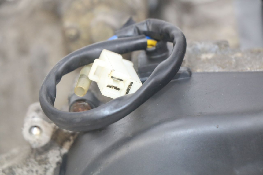 photo de MOTOR PEUGEOT DJANGO 4T 50 (2014 - 2019) - Gecontroleerd onderdeel