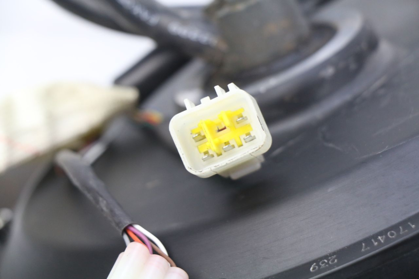 photo de MOTOR EFUN E2GO 1 (2017 - 2021) - Overzicht