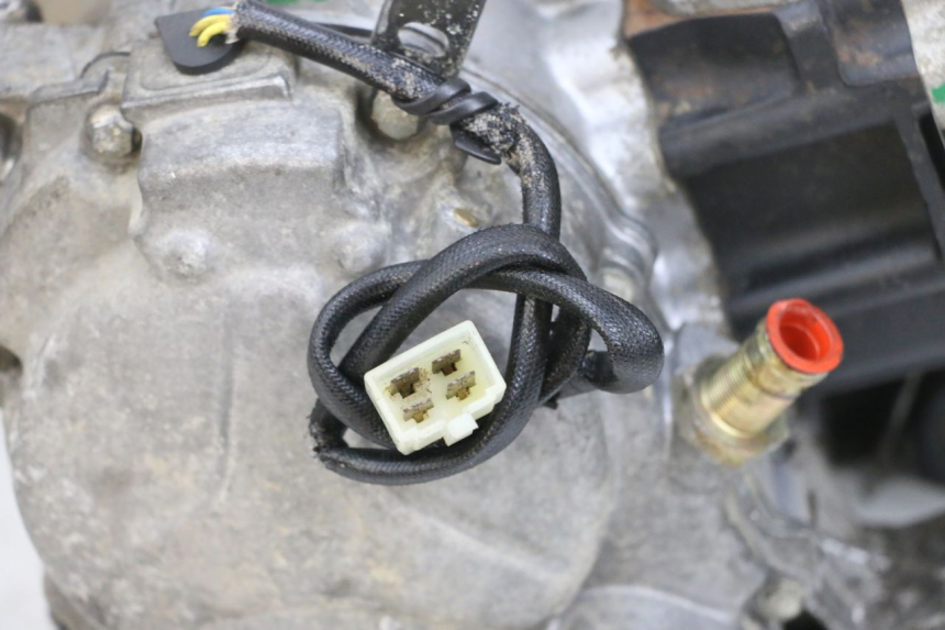 photo de MOTOR PEUGEOT ELYSEO 125 (1999 - 2004) - Gecontroleerd onderdeel