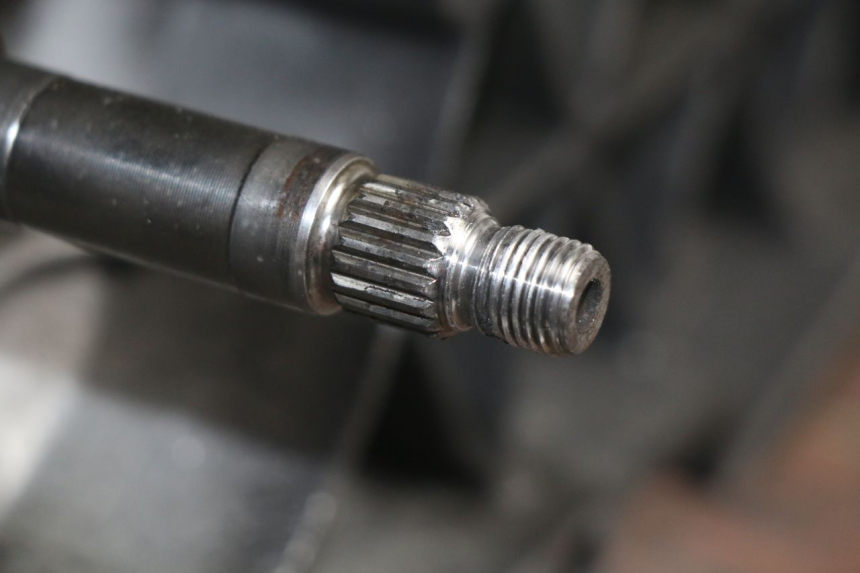 photo de MOTOR PEUGEOT ELYSTAR 125 (2002 - 2007) - Kenmerkende details