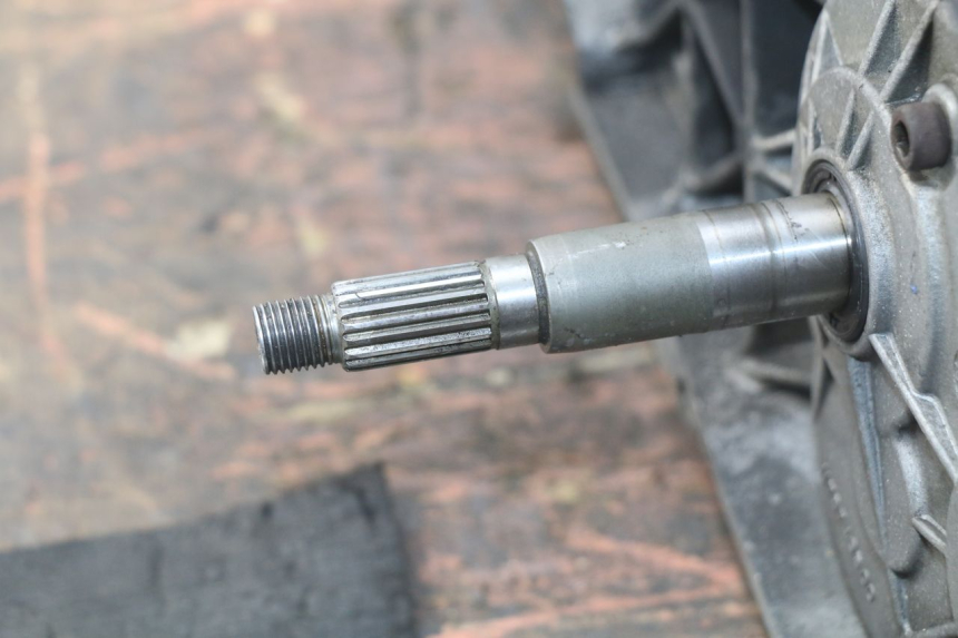 photo de MOTOR PEUGEOT ELYSTAR 125 (2002 - 2007) - Detailaanzicht