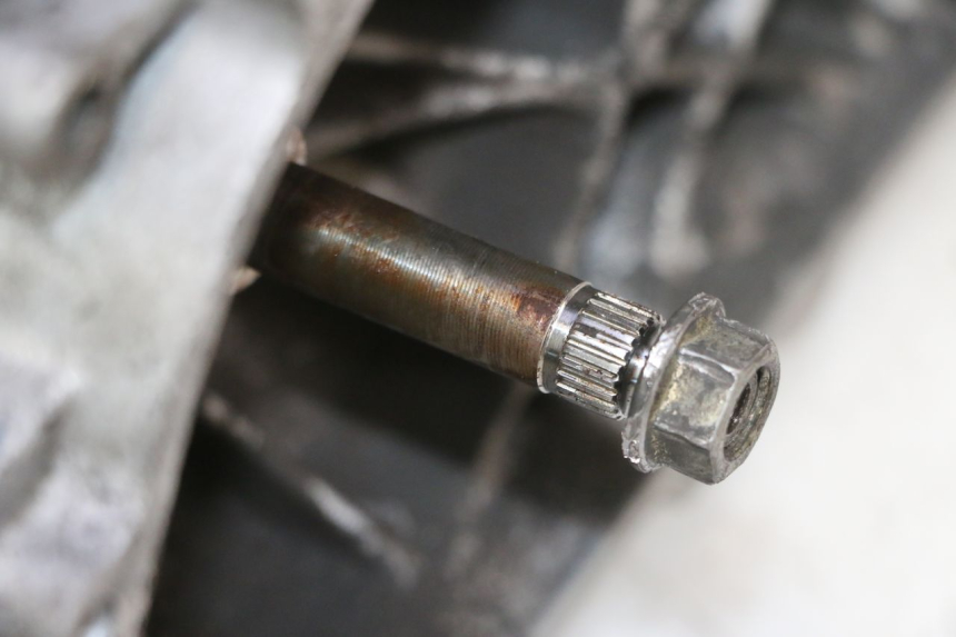 photo de MOTOR PEUGEOT ELYSTAR 50 (2002 - 2014) - Zoom op gebruiksstaat