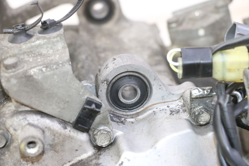 photo de MOTOR HONDA FES S-WING SWING ABS 125 (2007 - 2015) - Gecontroleerd onderdeel