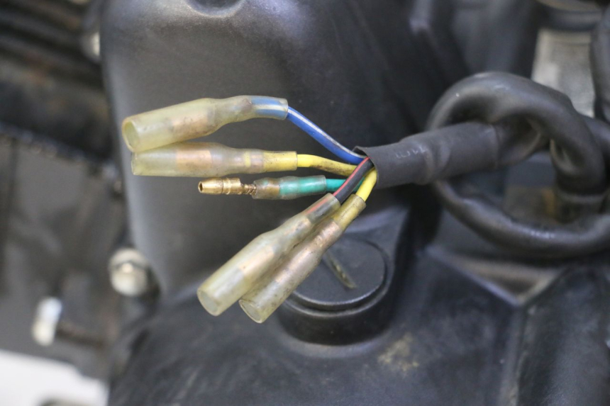 photo de MOTOR STAHO FH 50 (2018 - 2019) - Kenmerkende details