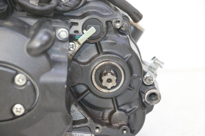 photo de MOTOR STAHO FH 50 (2018 - 2019) - Detailaanzicht