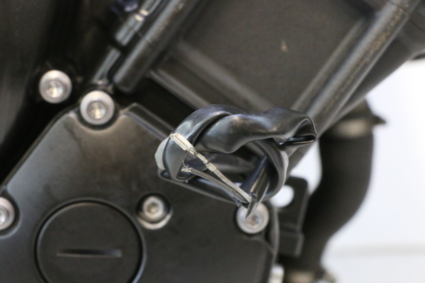photo de MOTOR YAMAHA FZ8 800 (2010 - 2016) - Markeringen en referenties