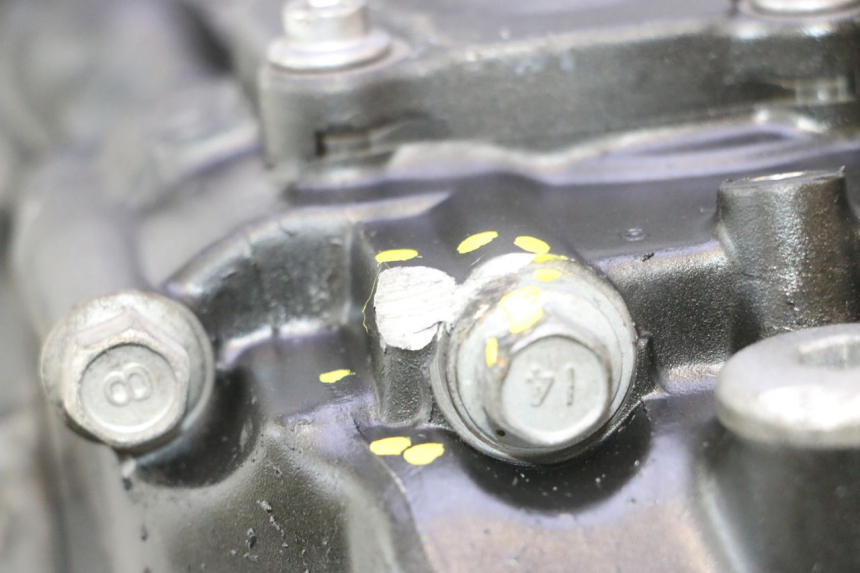 photo de MOTOR YAMAHA FZ8 800 (2010 - 2016) - Staat van het oppervlak