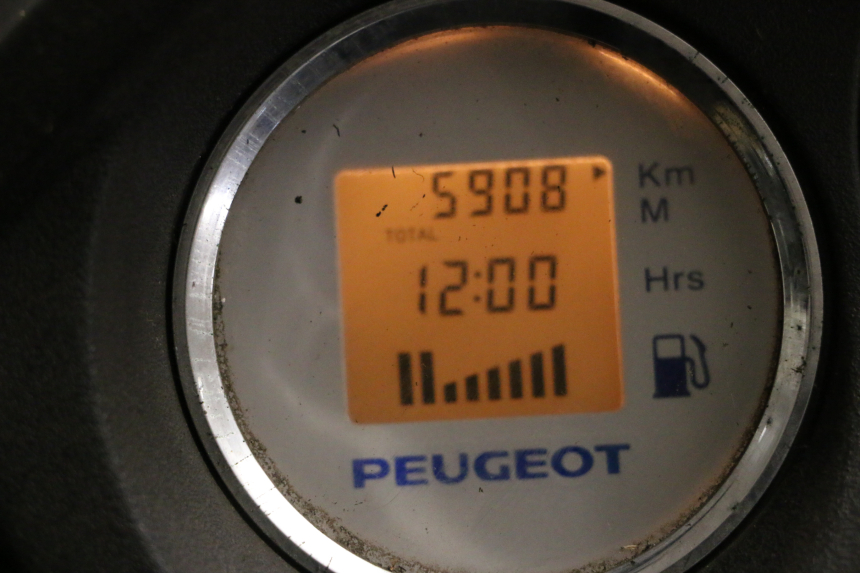 photo de MOTOR PEUGEOT GEOPOLIS RS 125 (2007 - 2009) - Profielaanzicht