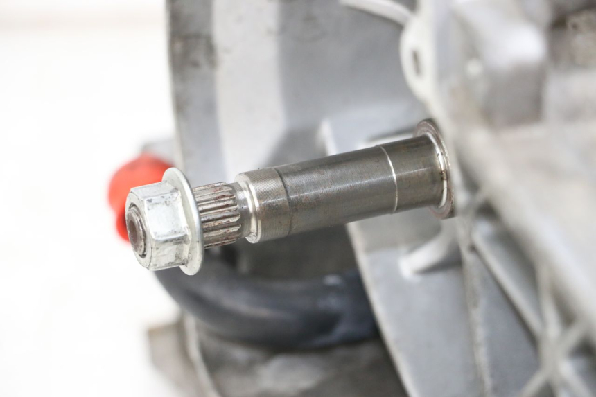 photo de MOTOR PEUGEOT GEOPOLIS RS 125 (2007 - 2009) - Technische close-up