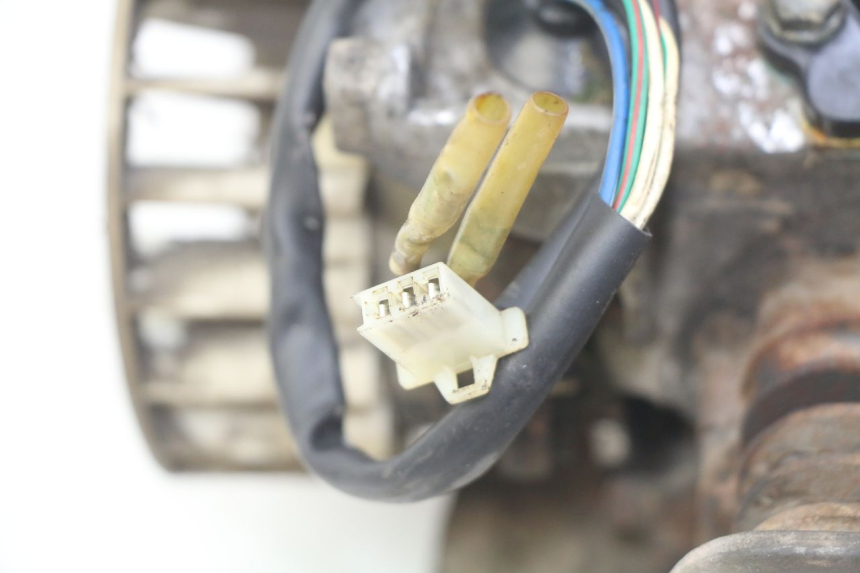 photo de MOTOR TNT MOTOR GRIDO 2T 50 (2010 - 2019) - Zoom op componenten