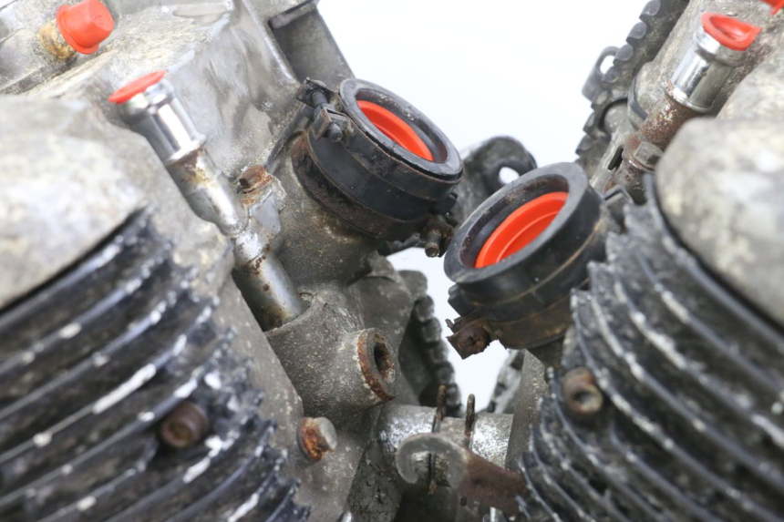 photo de MOTOR HONDA VT C2 SHADOW 750 (1997 - 2001) - Technische close-up