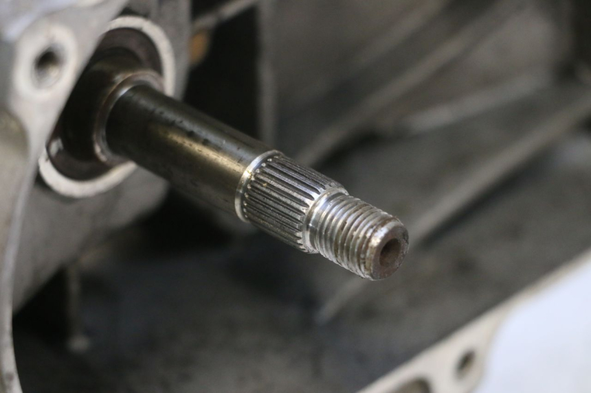 photo de MOTOR PEUGEOT KISBEE 4T 50 (2023 - 2026) - Andere kijkhoek